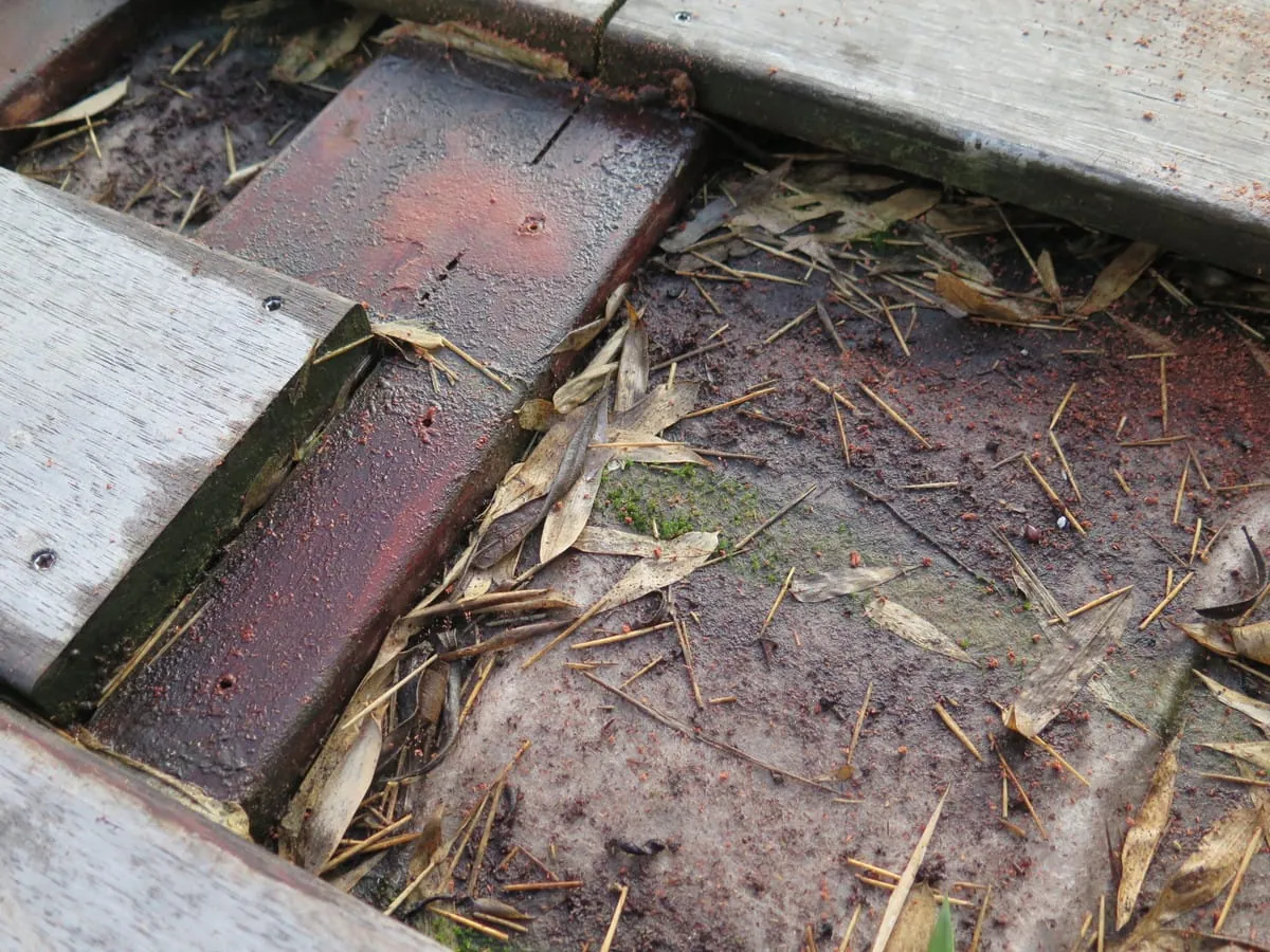 Terrassendielen aus Holz