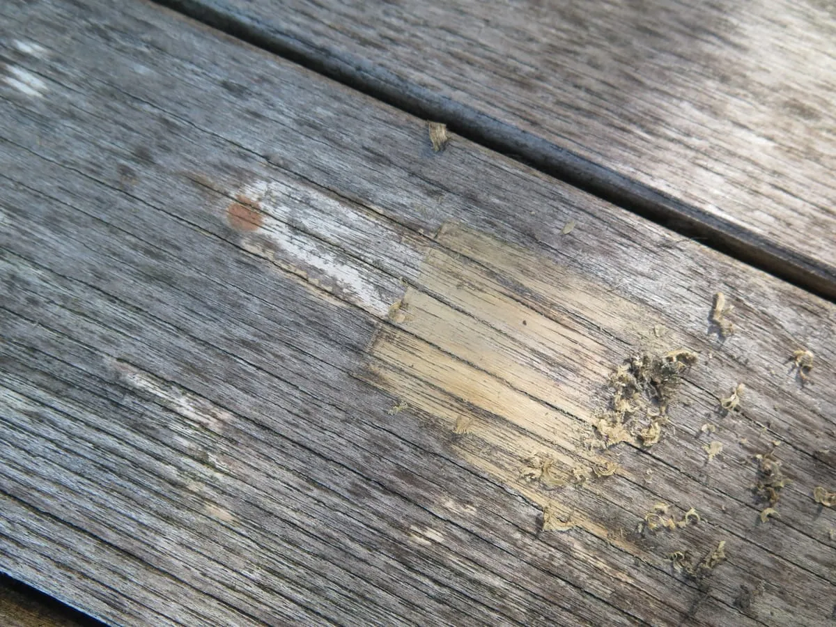 Totalersatz einer Holzterrasse