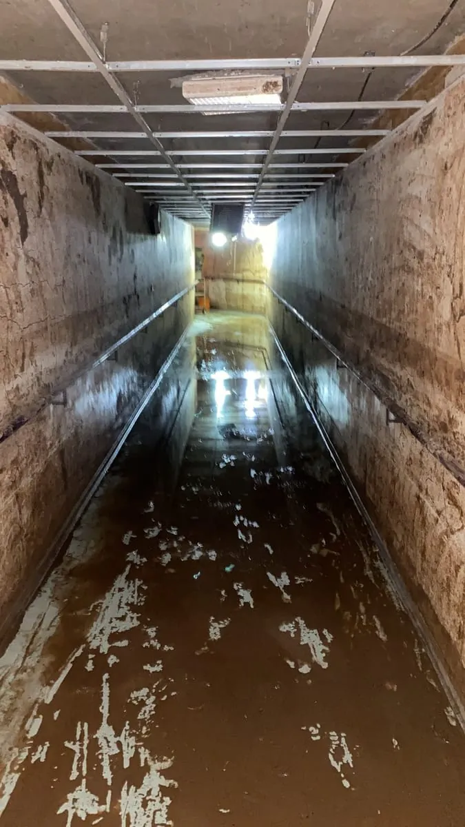 Aktion #stripperkommando