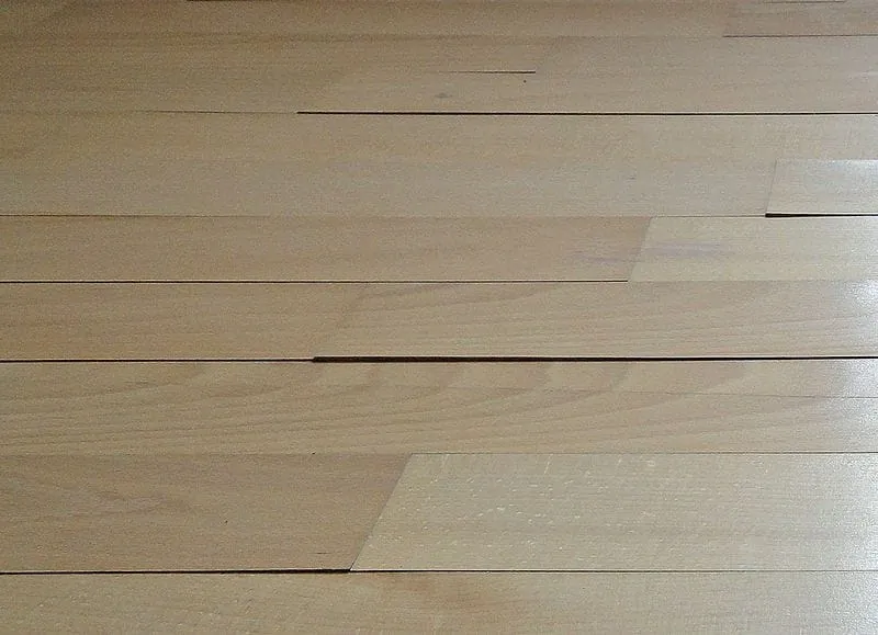 Mitmachen und profitieren!