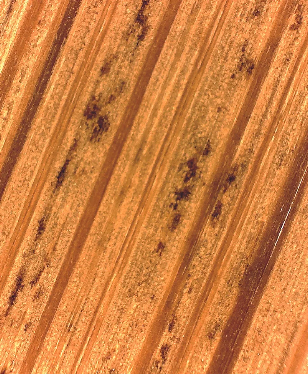 Bambus kann auch anders