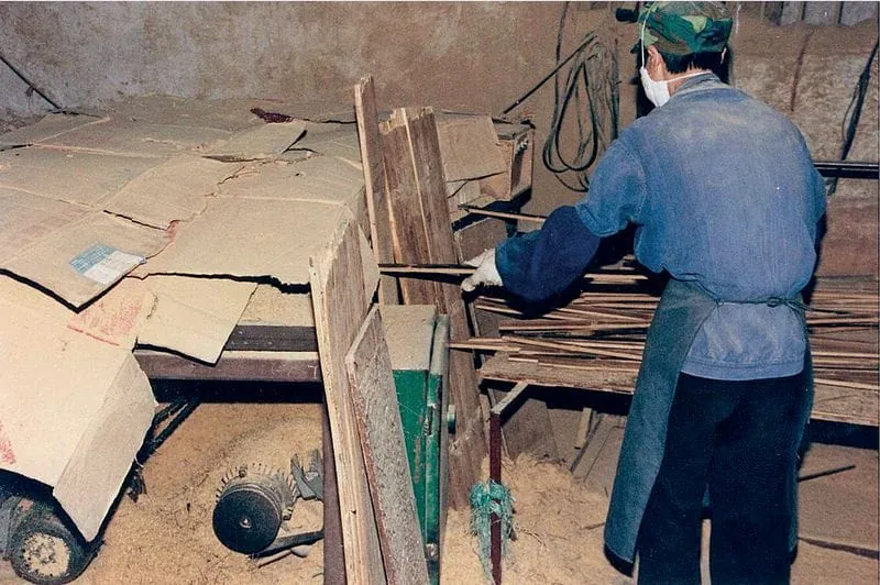 Immer noch Riesenschritte