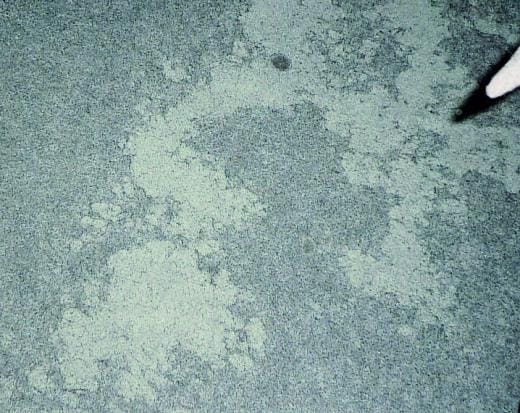 Wie sich die Bilder doch gleichen