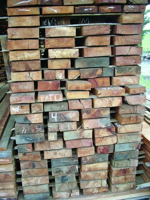 Ausgeprägte Farbkontraste