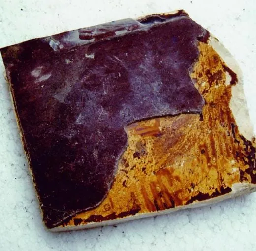 Der Bodenprofi als Sherlock Holmes