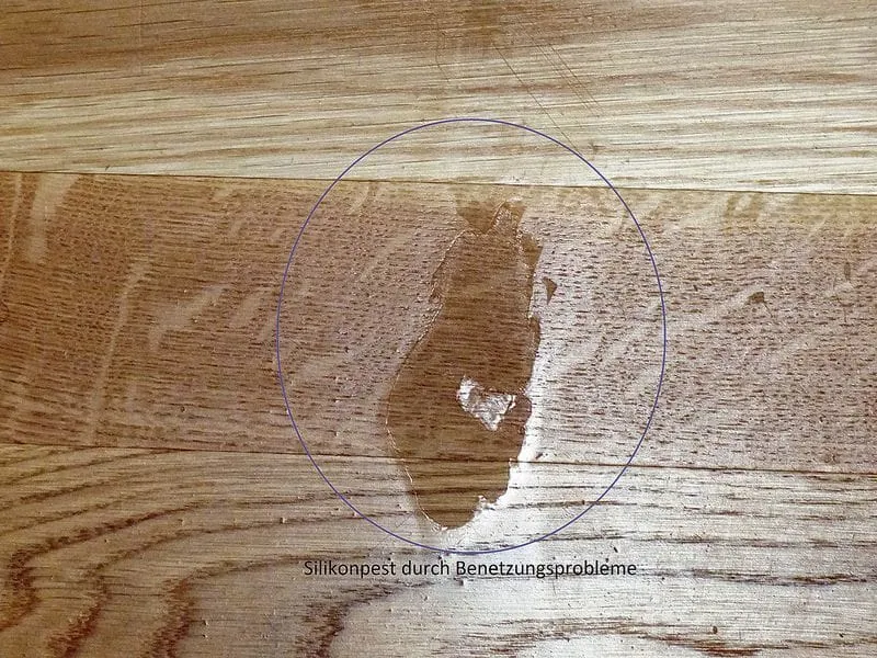 Was ist die „Silikonpest“?