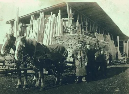 Er wächst und wächst und wächst ...