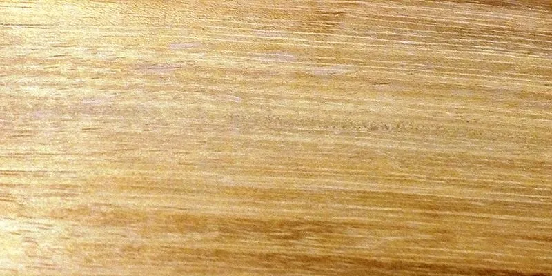 Was ist Maschonaste?