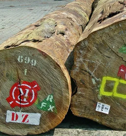 Dieses Holz fordert den Handwerker