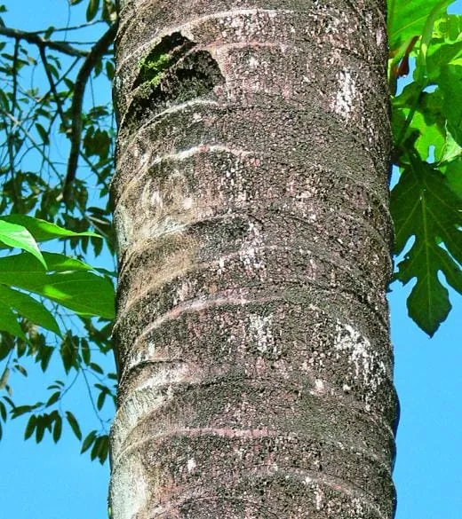 Farbreaktionen und ihre Ursachen