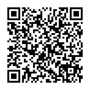 Schadensfälle aus der Parkettlegerpraxis