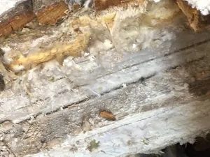 Schadensfall Belagsverlegung auf Holzdielen