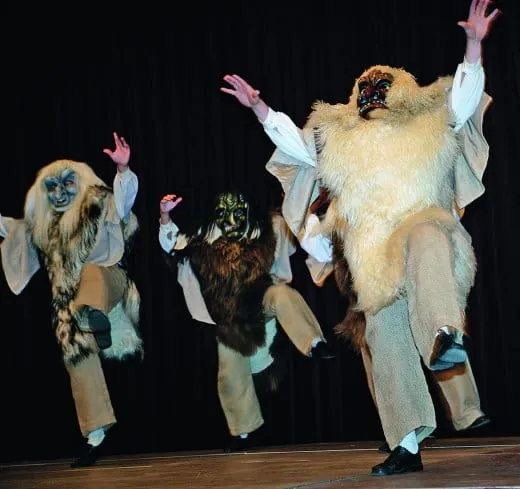 Der Visionär aus den Alpen