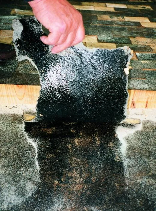 Familienbetrieb nach jahrelangem Rechtsstreit ruiniert