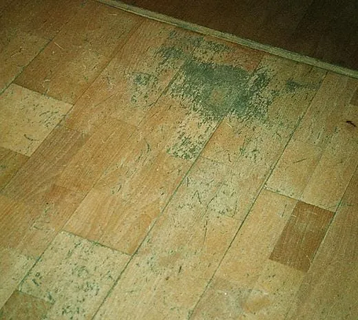 Häufige Schadensbilder   auf einen Blick