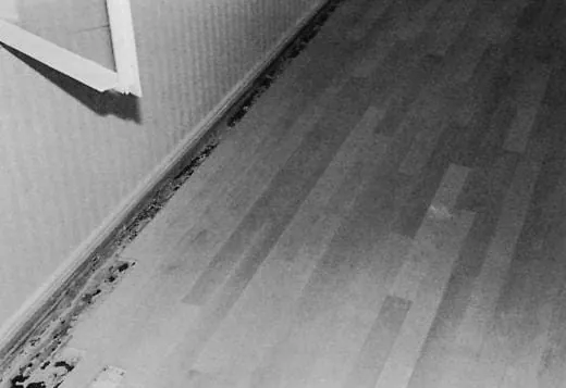 Fehlende Wärmedämmung wölbte das Buchenparkett auf