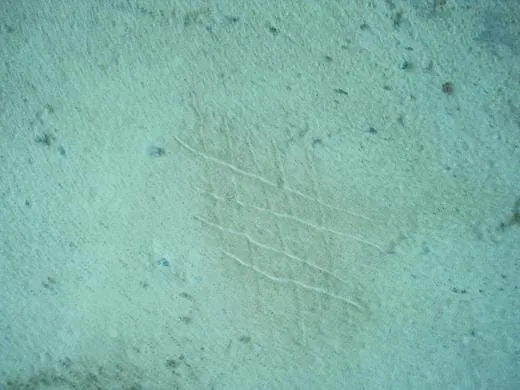 Die Estrichoberfläche sandet ab