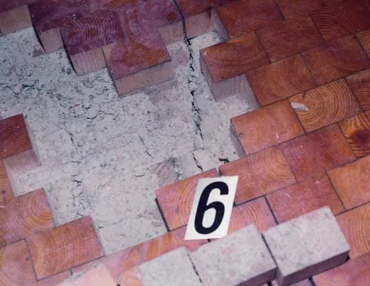 Verleger gab Termindruck nach