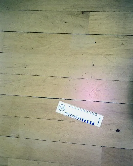 Nur kurze Zeit währte der Schein