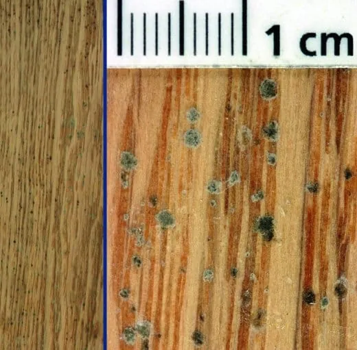 Einbruch in die Porenrille