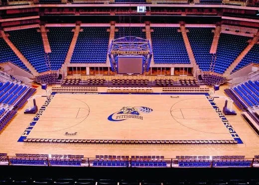 Zurück zu den Wurzeln