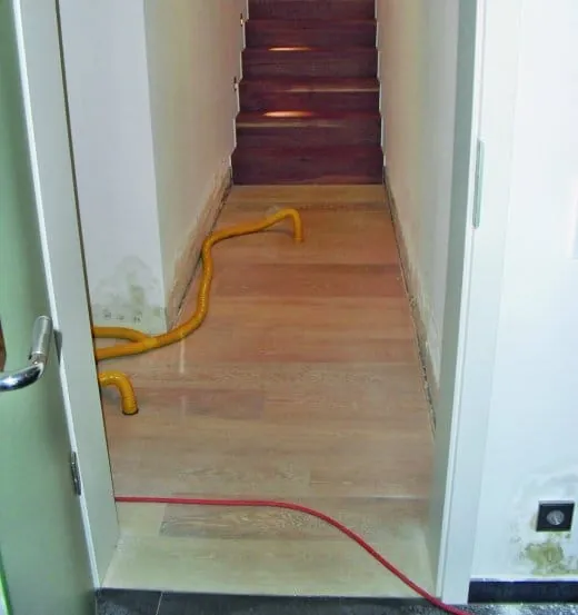 Parkett auf Tauchstation