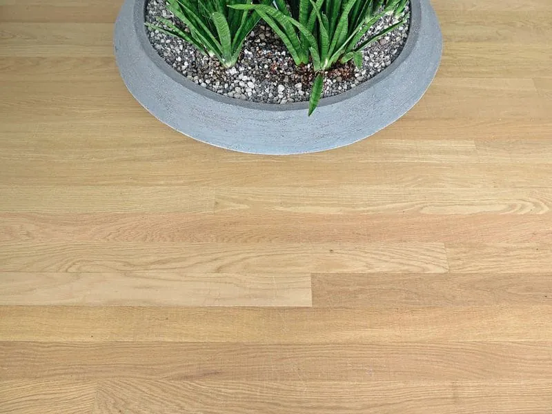 Unnatürliche Verfärbungen