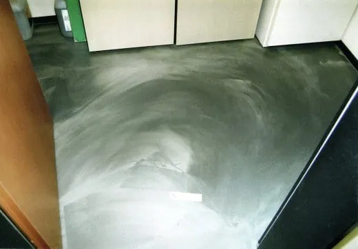 Der ungleiche Zwilling