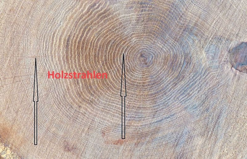 Was sind Holzstrahlen?