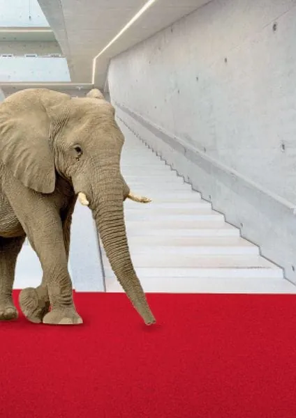 „Finett Campo S“ jetzt auch im Anschnitt