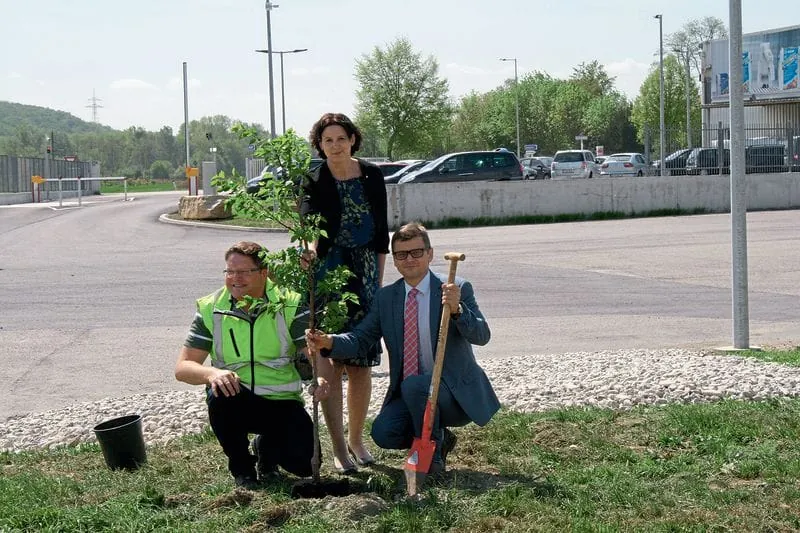 Obstbäume für mehr Nachhaltigkeit