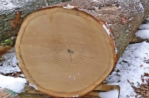 Der einheimische Klassiker