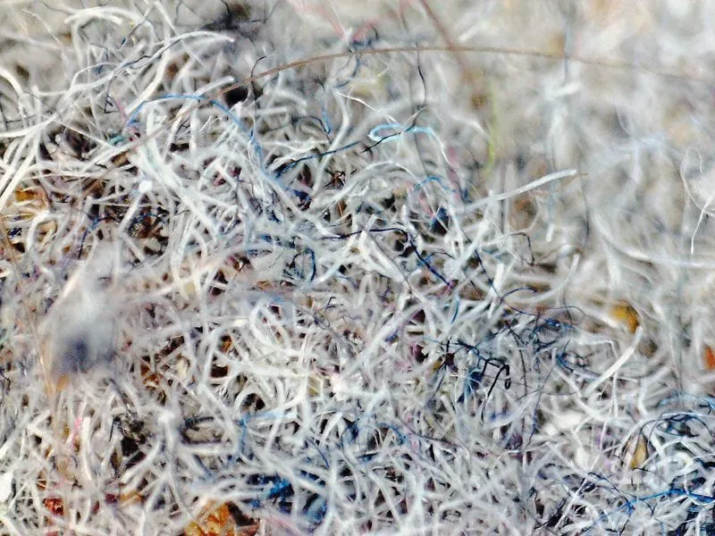 Der dunkle, helle Staub