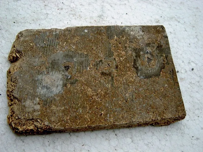 Hier gibt’s viel zu beachten!