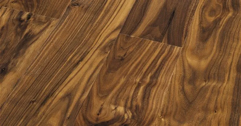 Holzvielfalt erleben