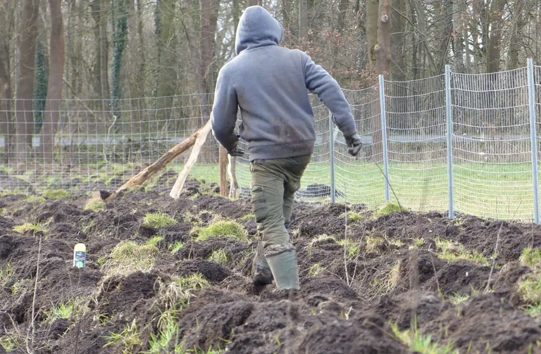 Tarkett Baumpflanzaktion