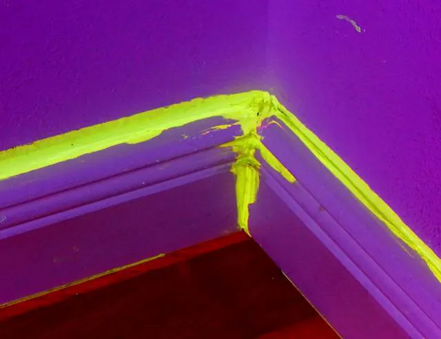 Spurensuche bei Schäden