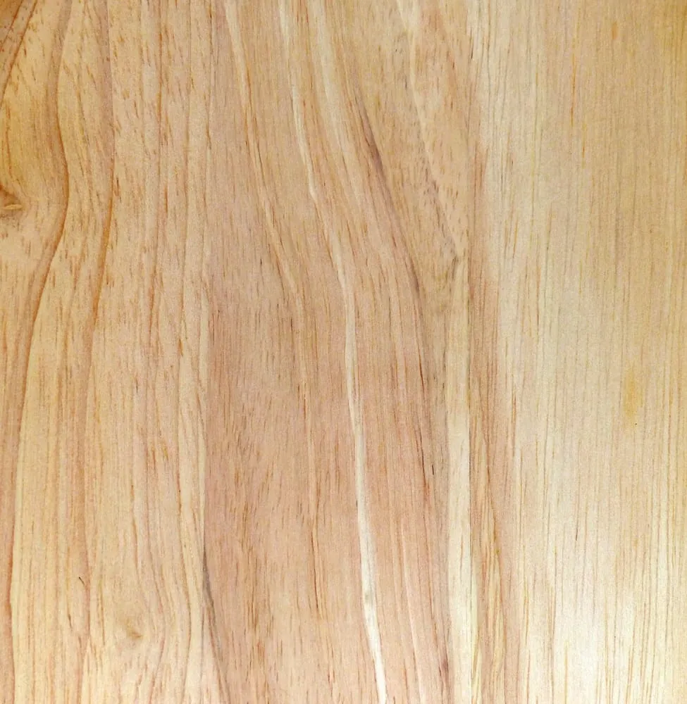 Was ist Borax und wie kann man es zum Holzschutz einsetzen?