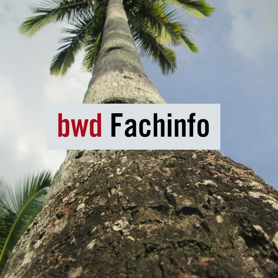 Was ist Kokospalmenholz?