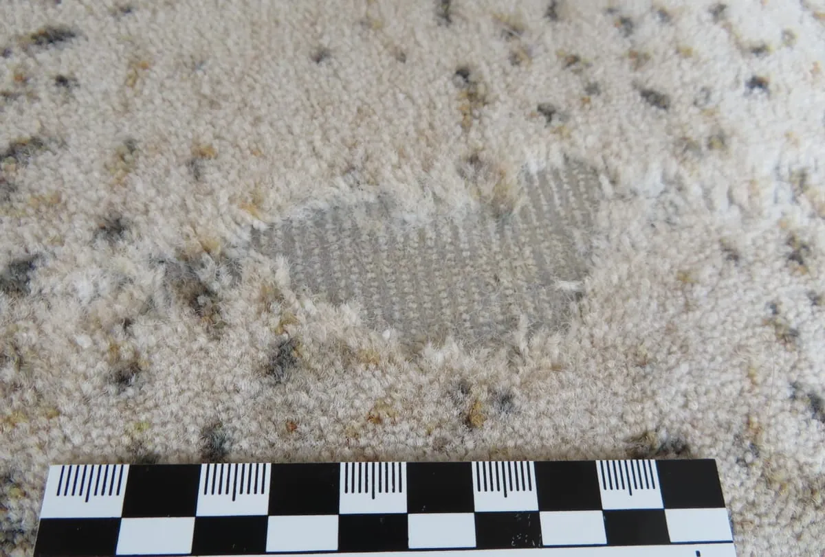 Schädlinge Teppichboden Polyamid Fraßstellen