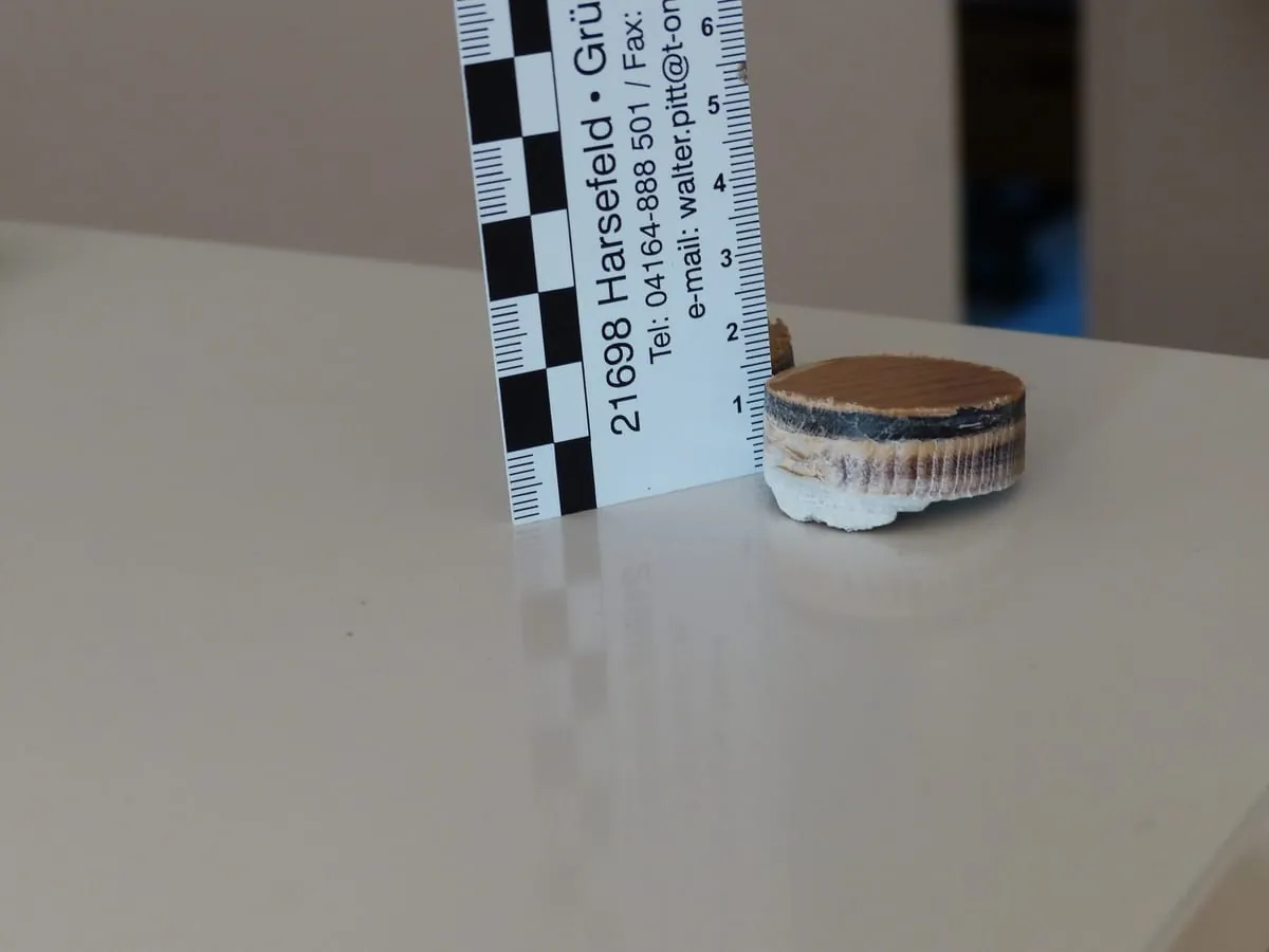 Wärmedurchlasswiderstand, Temperaturverhalten Holz