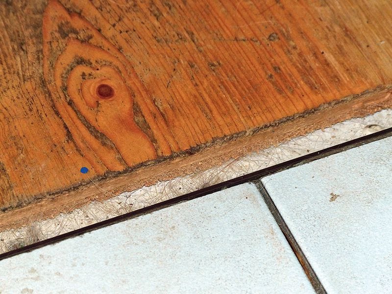 Stuhlrolle oder Katze?