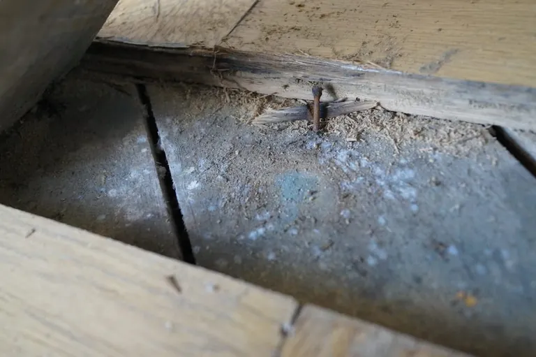 Sanierung eines Fischgrät-Parketts