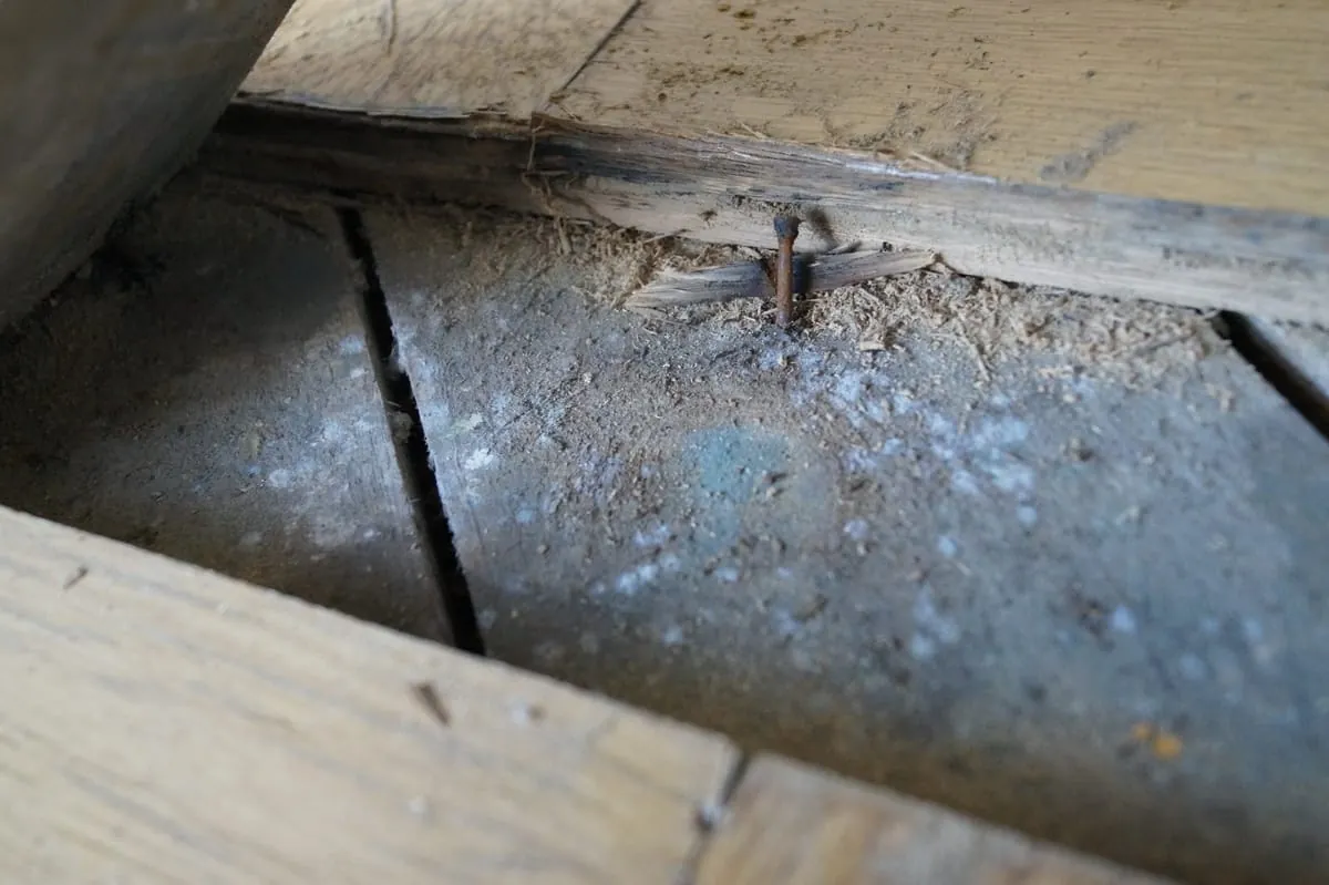 Sanierung eines Fischgrät-Parketts