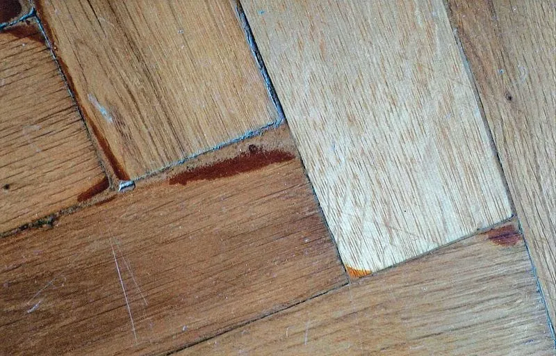 Fatale Fehleinschätzung