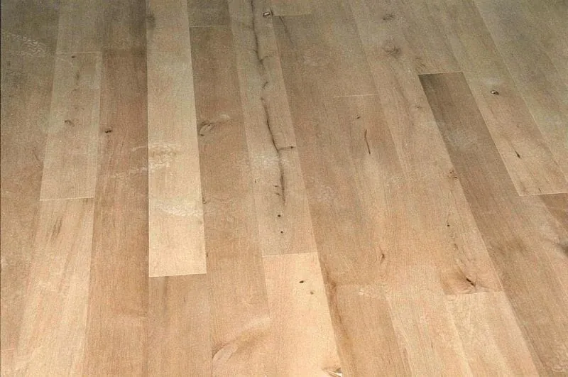 Welche charakteristischen Merkmale hat die Weißbuche?