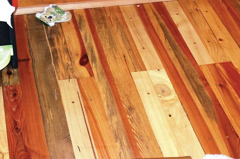 Was versteht man unter  Verfärbungen des Holzes?