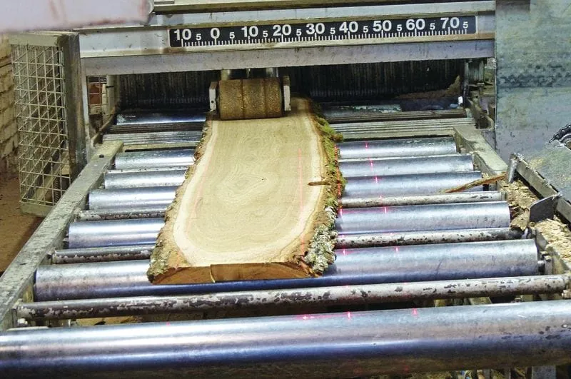 Was sind Klosterdielen?