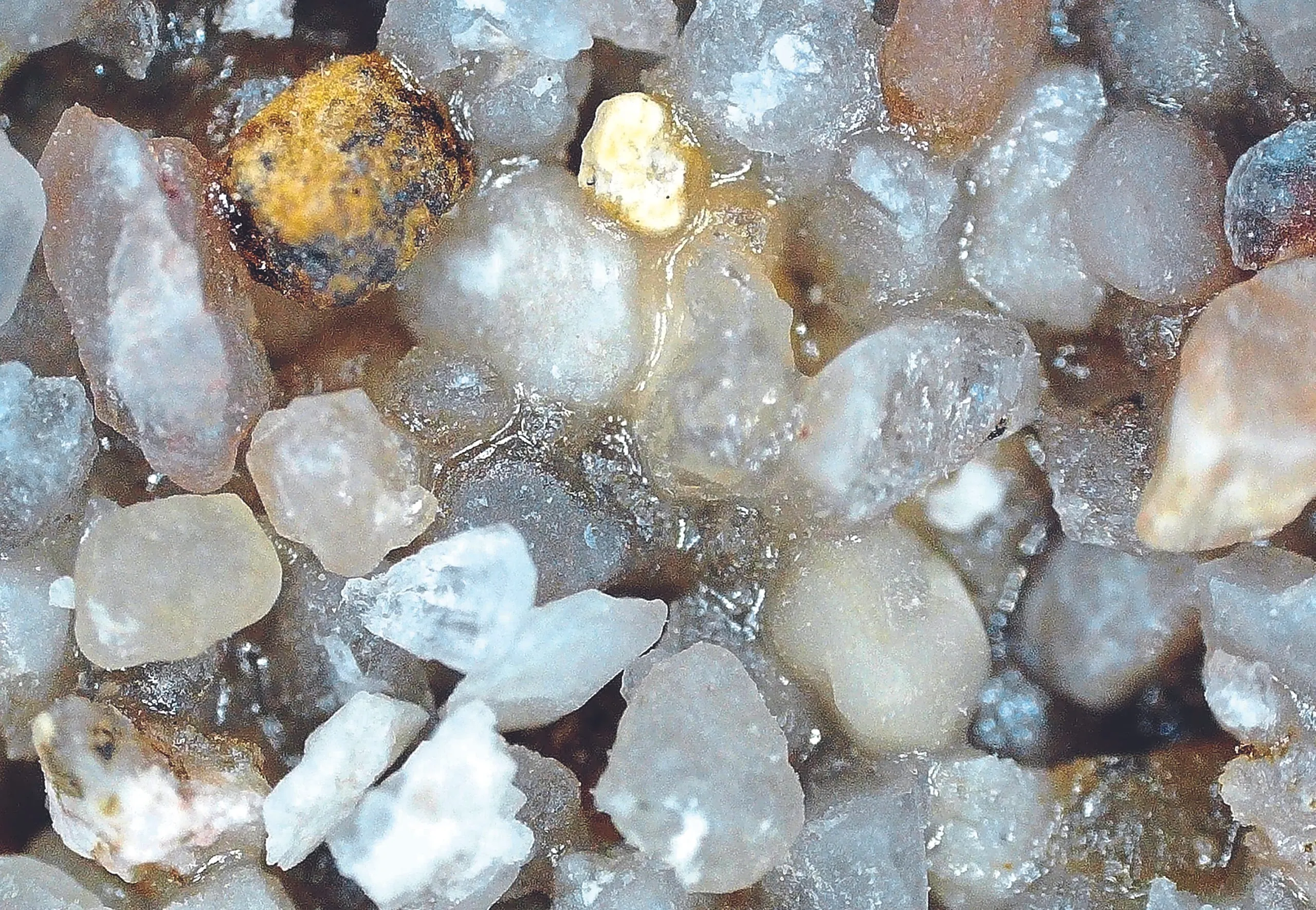 Sanierungsprojekt Absanden