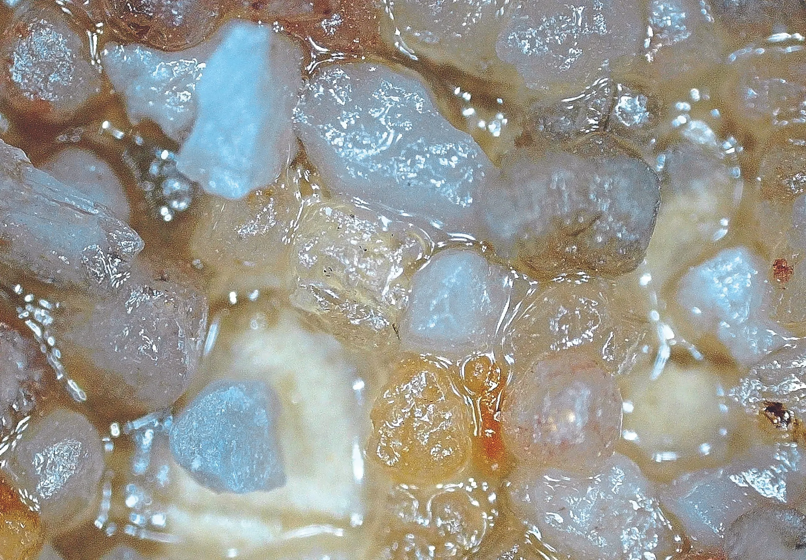 Sanierungsprojekt Absanden